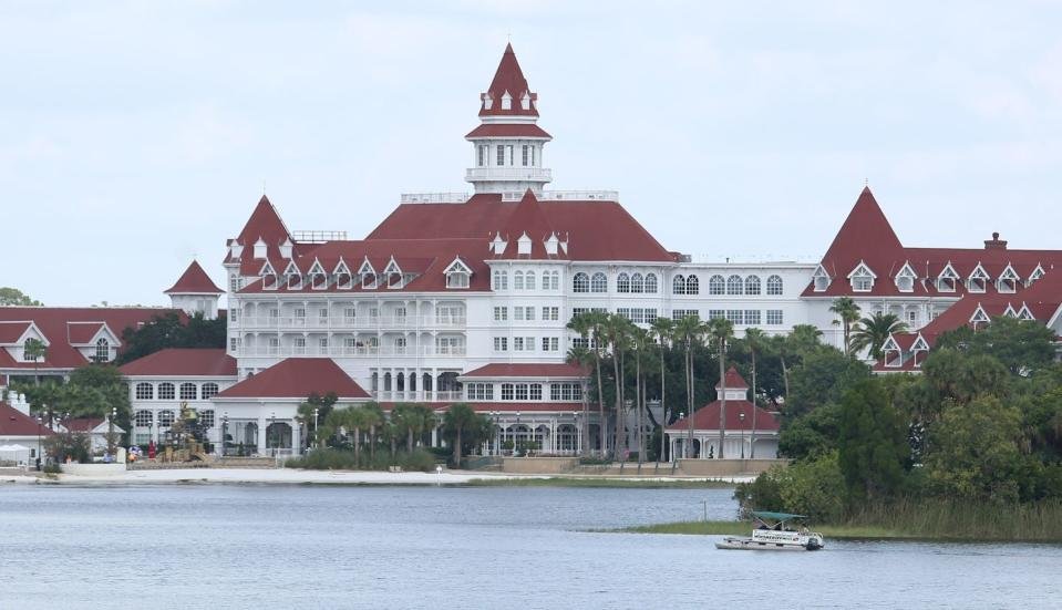 us animal alligator accident disney tourism